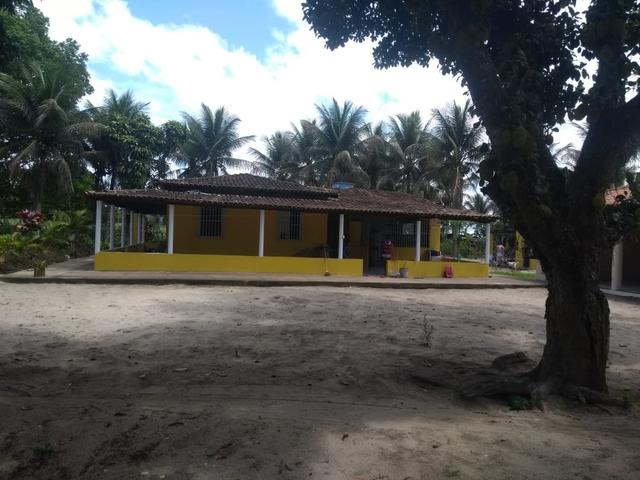 Vende-se Roça ótima para o lazer - Foto 7