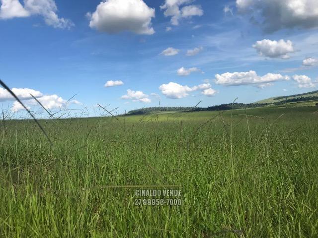 Fazenda em Nova Venécia ES com 25 alqueires (121 hectares) - Foto 14