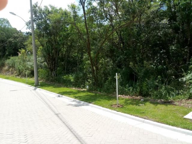 Terreno à venda, 724 m² por r$ 328.510,65 - prinstrop - gramado/rs - Foto 6