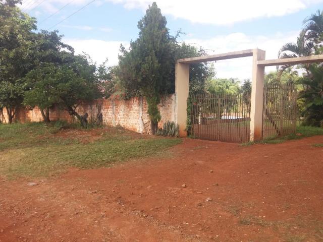 Locação - Chácara próximo à Av. Saul Elkind, 5000 m² com casa sede - Londrina/PR - Foto 2