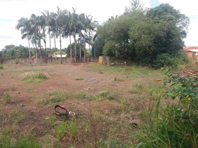 Locação - Chácara próximo à Av. Saul Elkind, 5000 m² com casa sede - Londrina/PR - Foto 8