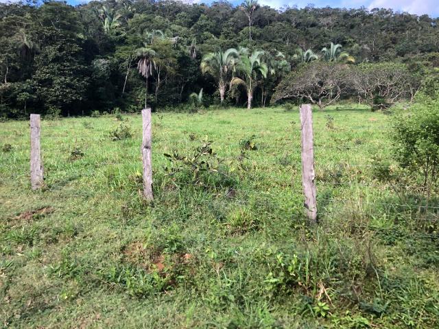 120 alqueires, pecuária e parte lavoura Bom Jardim-MT - Foto 6