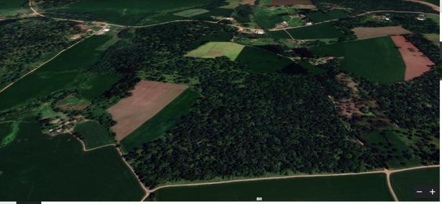 Vendo terreno na localidade da Serrinha em Irineópolis - Foto 7