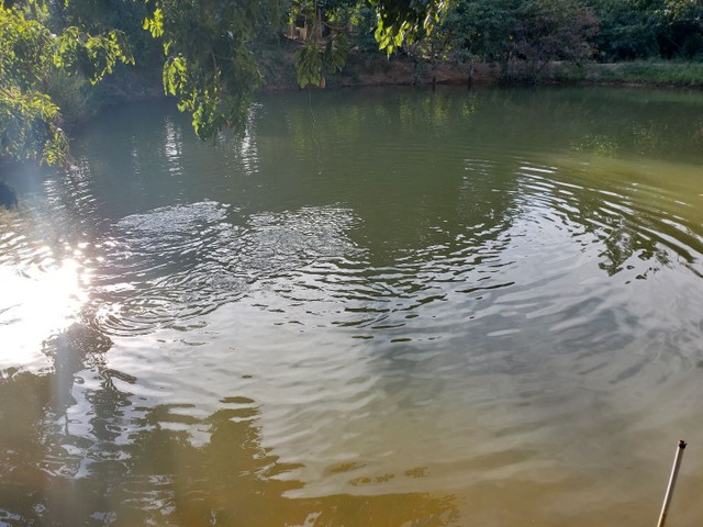 Bela fazendinha em Alexania  - Foto 2