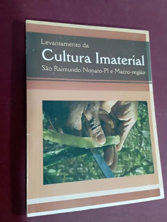 Livro Levantamento da Cultura Imaterial São Raimundo Nonato-PI e Macro-região - Foto 2