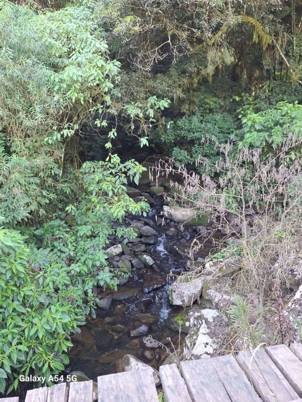 ? OPORTUNIDADE ÚNICA! CHÁCARA À VENDA EM TAIO, SC ? - Foto 3