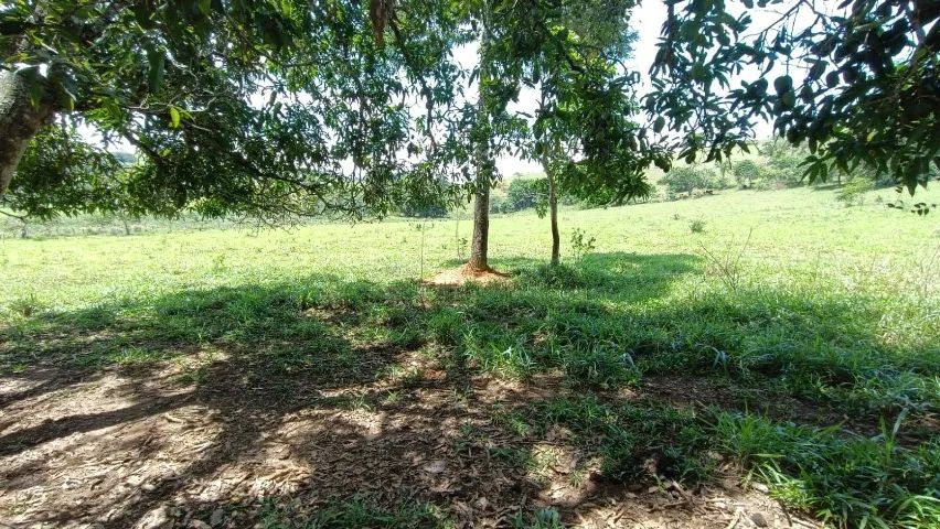 Ótimo sítio venda  em Descoberto 40 hectares - Foto 3