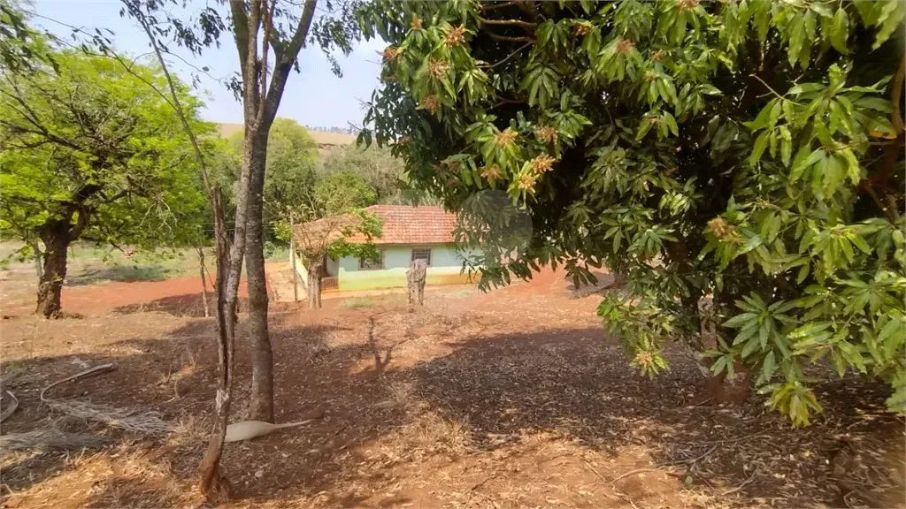 Terreno à venda em Centro - PR