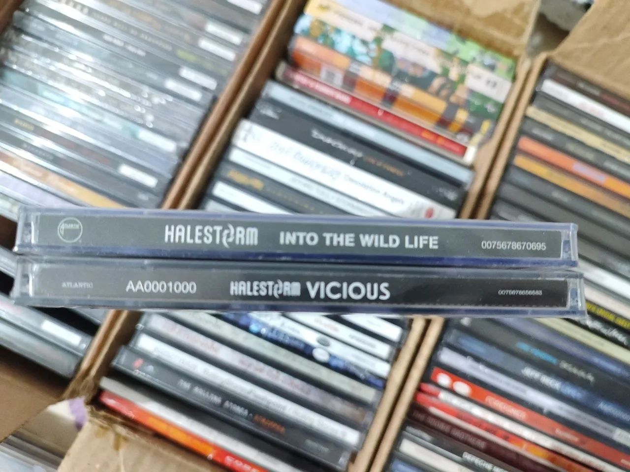 2CDs Halestorm - Vivious/Into The Wild Life - Foto 6