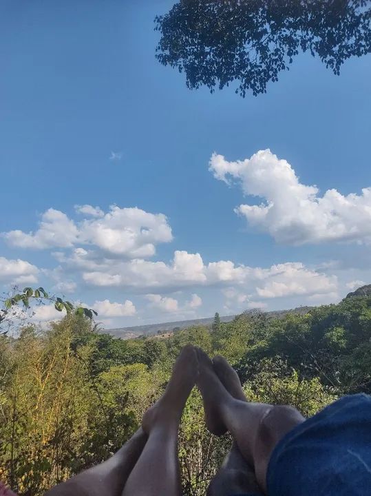 Sítio com rio e natureza exuberante - Foto 14