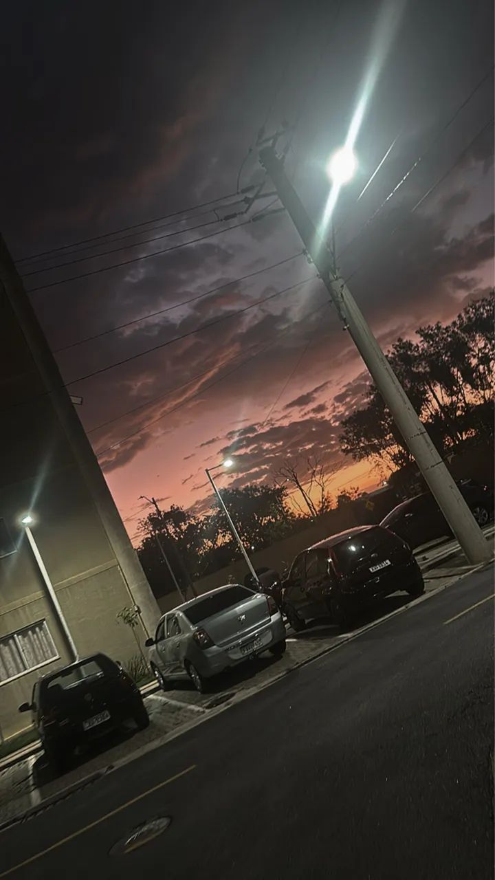 Foto - Campos dos Goytacazes - Horto Municipal