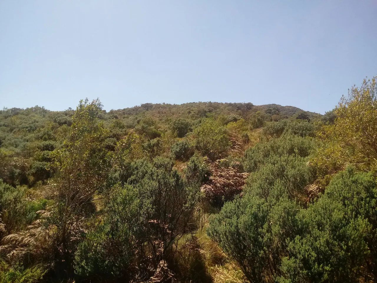 Terreno 102 hectares em Anitápolis-SC  - Foto 4