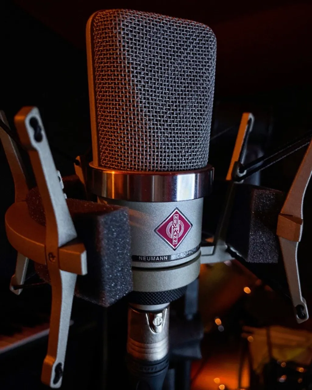 Microfone Condensador Neumann TLM 102 Studio Set (com Shockmount)