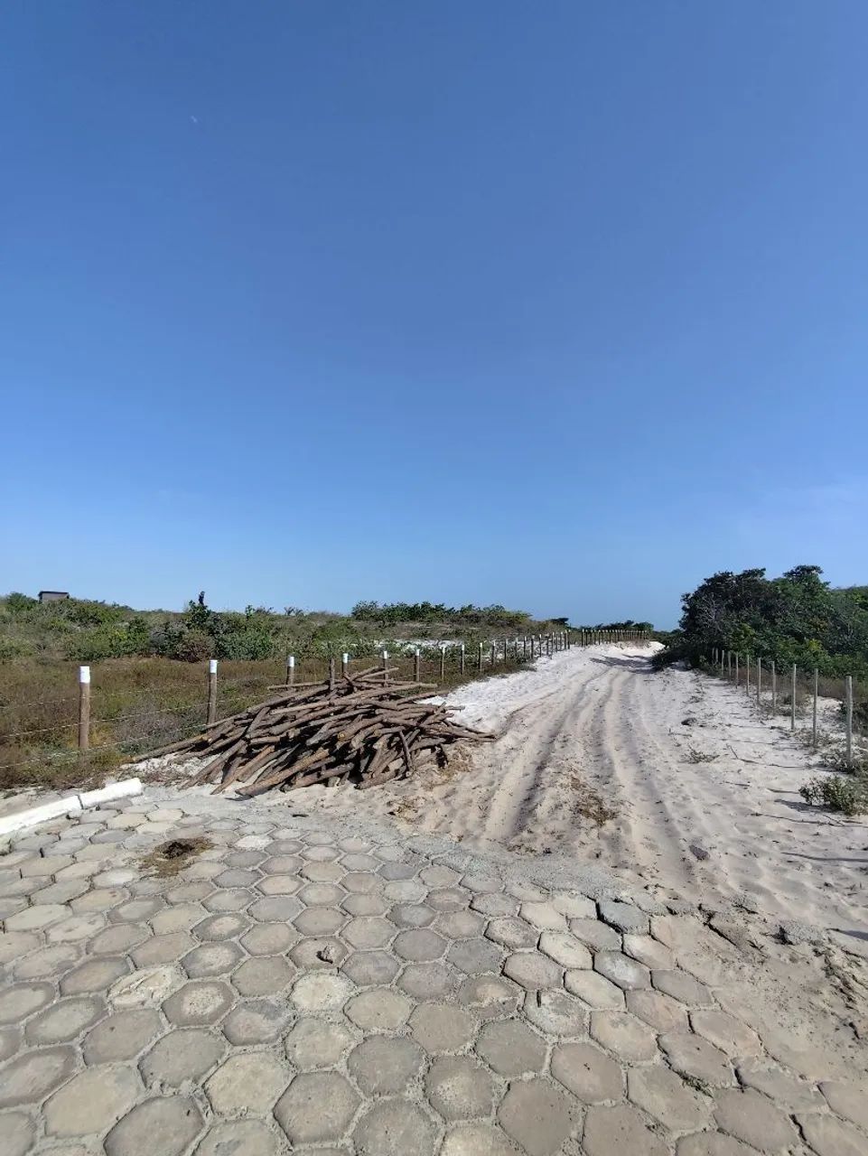 Vendo TERRENO em SANTO AMARO-MA  - Foto 3