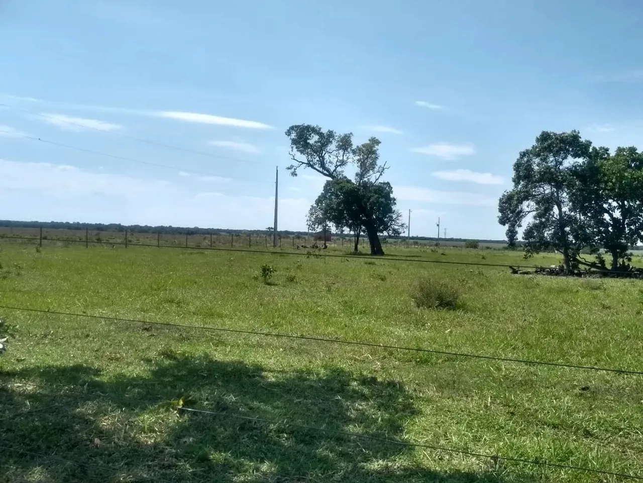 CHÁCARA À VENDA CAMPO GRANDE/MS (Saída para SP BR-163)