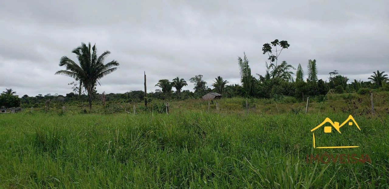 (Vende-se) Fazenda com 6130000 m² por R$ 5.526.000,00 - Centro - Canutama/AM - Foto 3