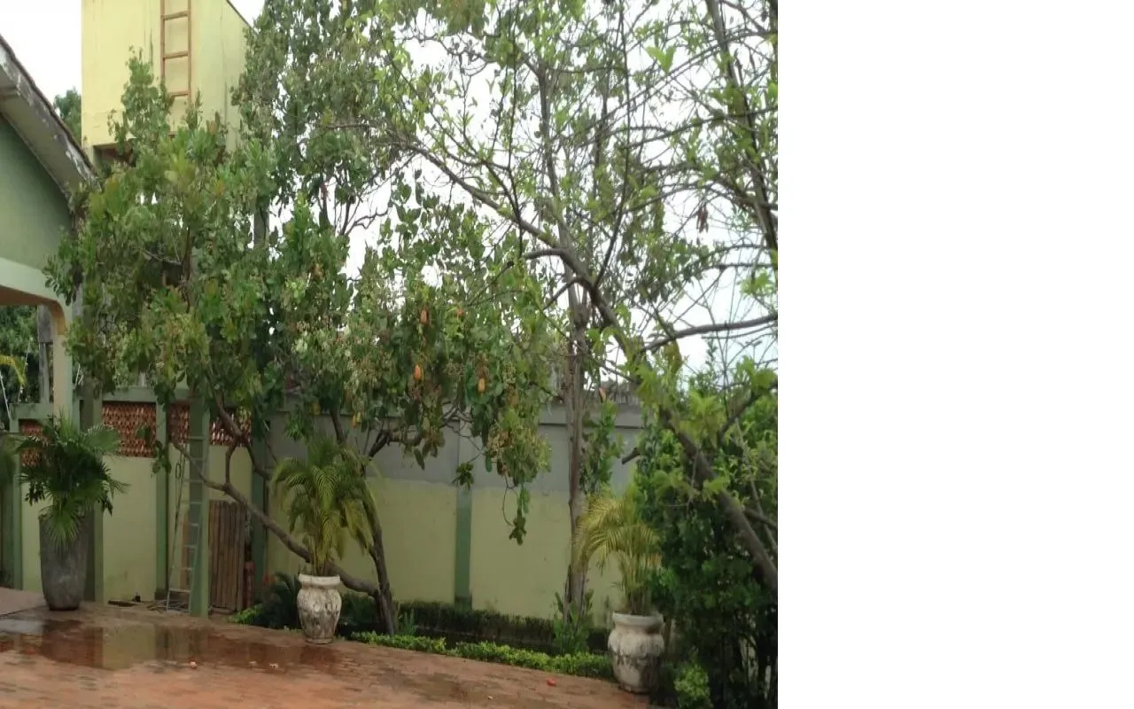 CASA NO JARDIM GLORIA