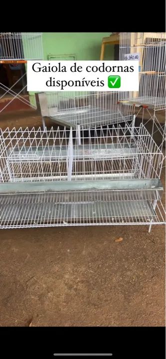 Viveiro Triplo para Calopsita - Foto 6