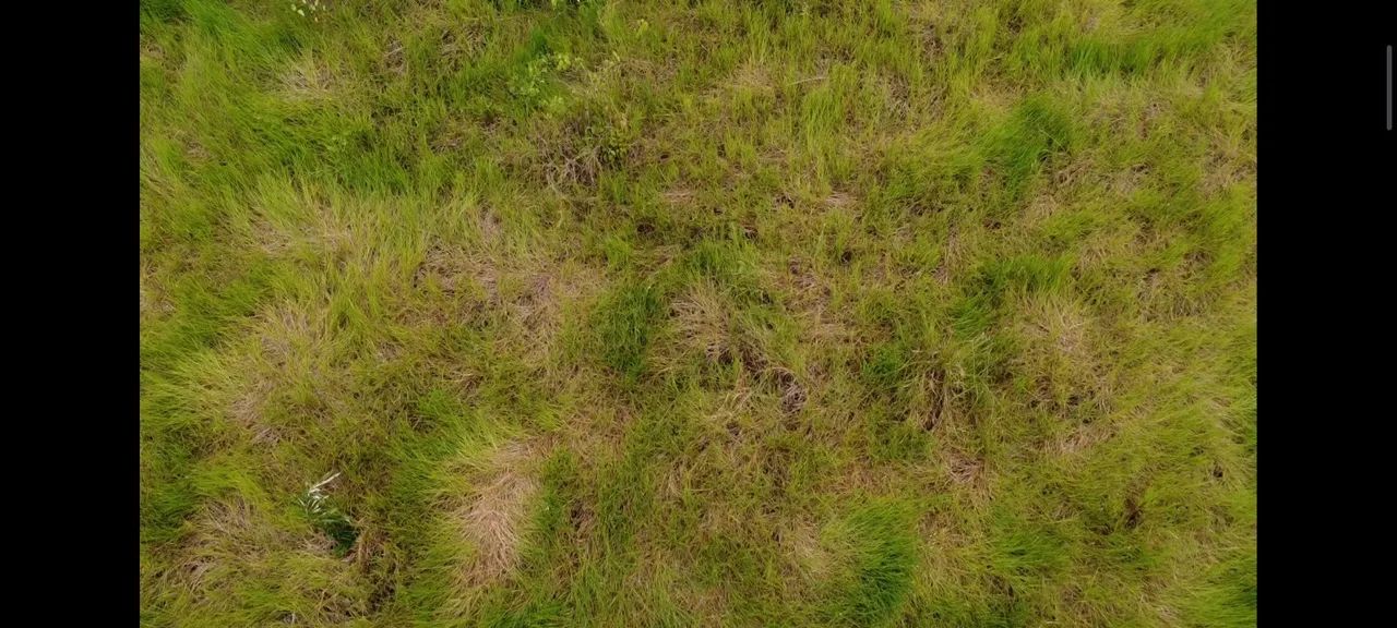 Troco por casa ou carro terreno na região do Cantá/Tatajuba 2/Vicinal2/Confiança 3 - Foto 8