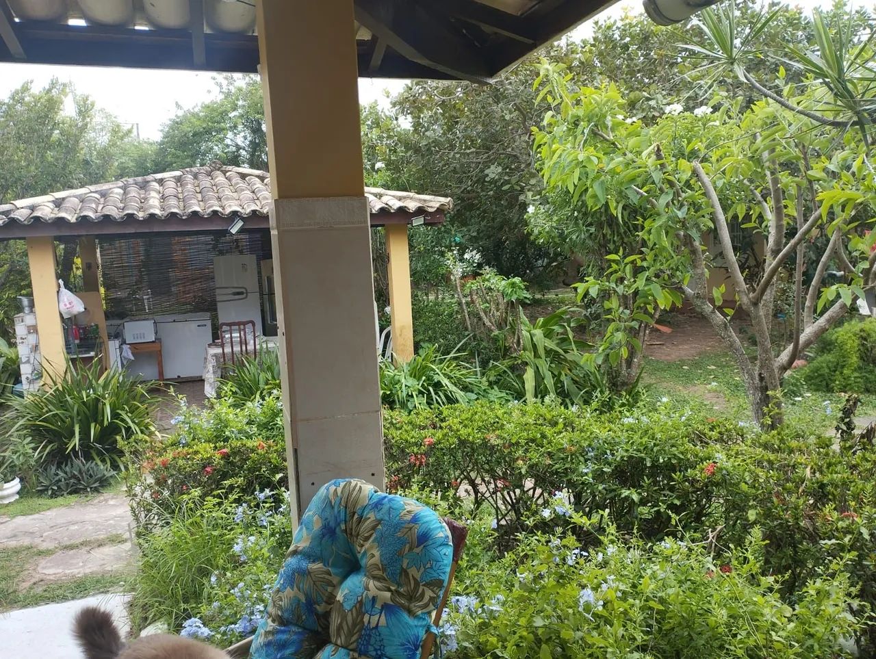 Foto do imóvel