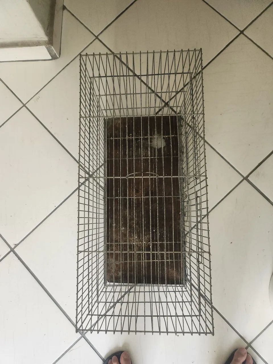 Vendo gaiola 