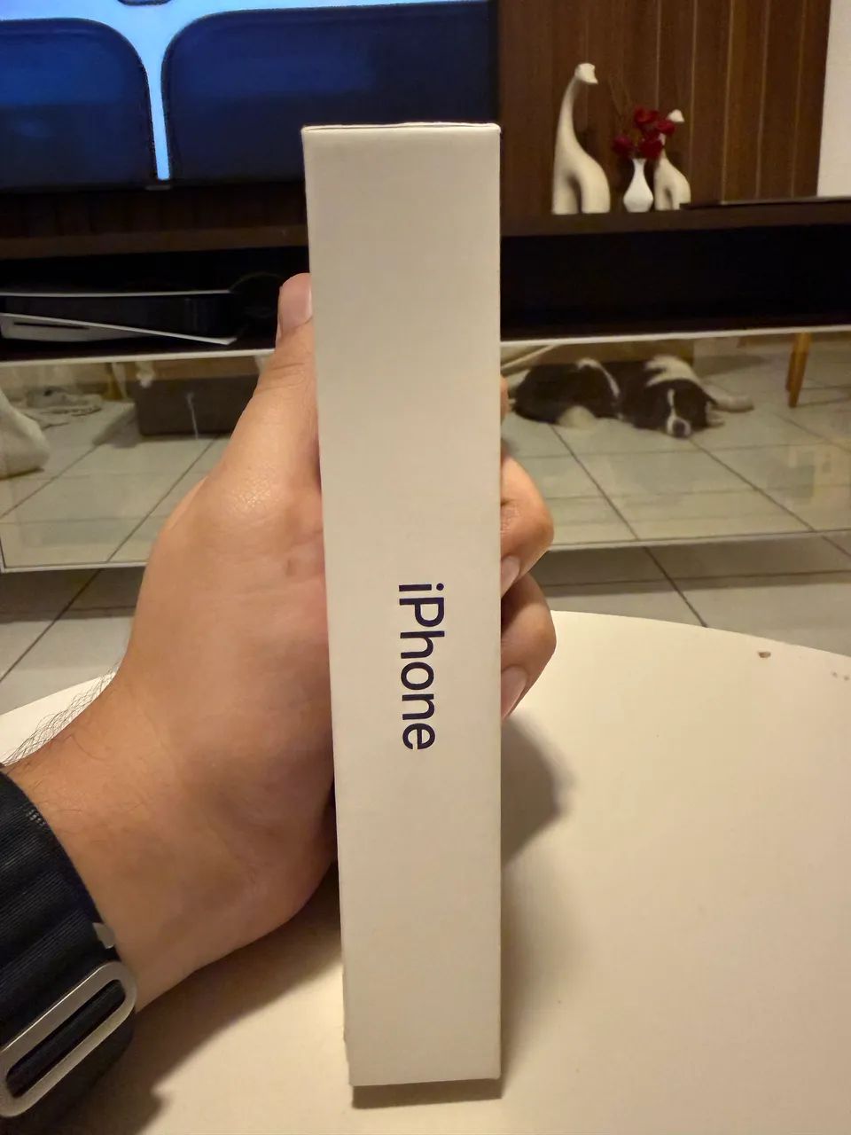 iPhone 17 Pro 256Gb