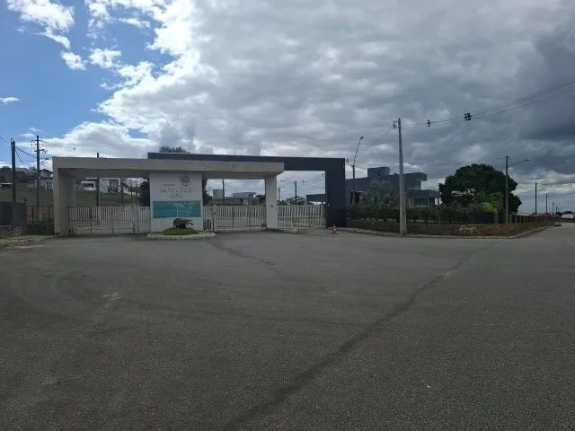 Foto - Arapiraca - Canafístula