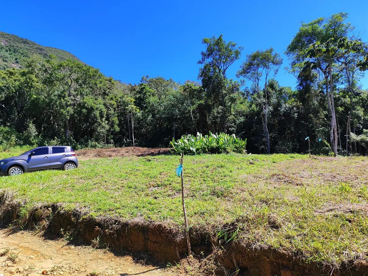 Foto - Nova Friburgo - Campo do Coelho