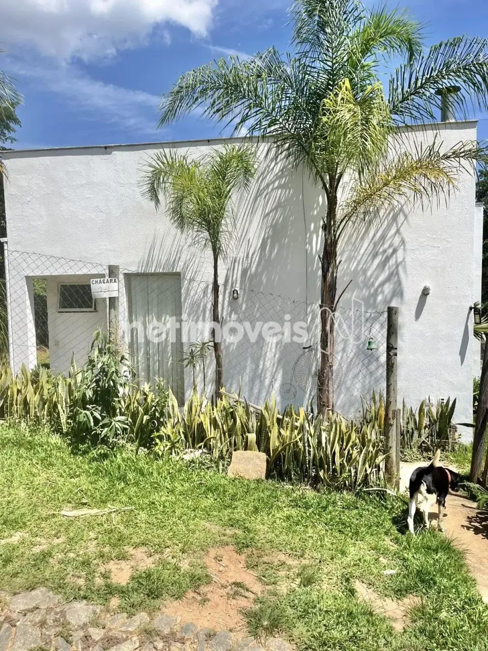 Venda Casa Vila Olaria Moeda - Foto 5