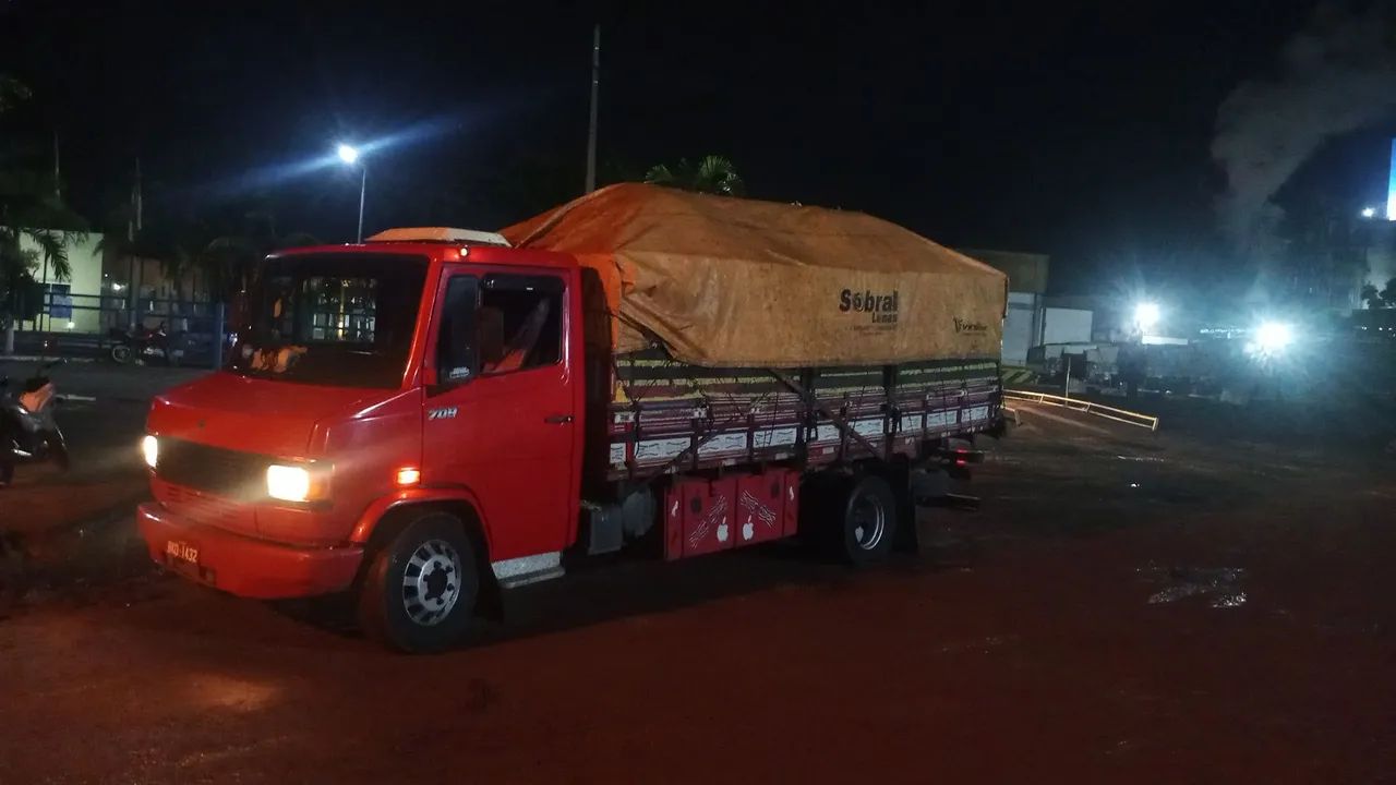 Vendo ração casca de laranja e casca de cana de açúcar? - Foto 3