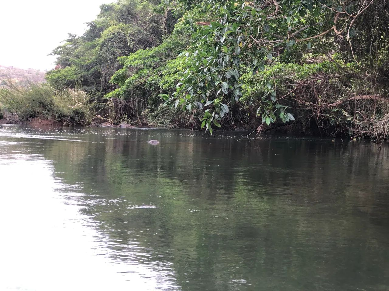 Vendo rancho no Rio CORUMBÁ  - Foto 5