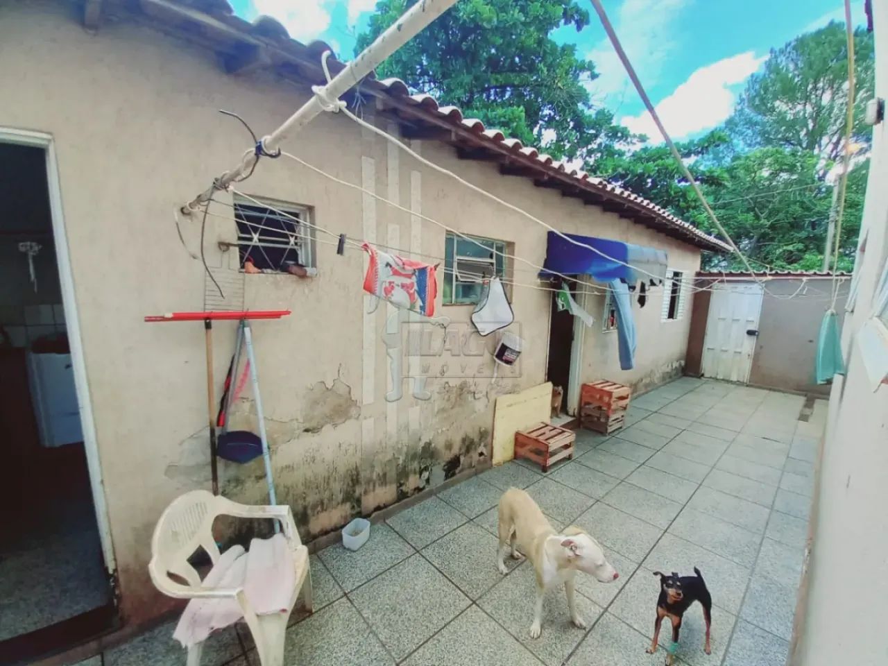 CASA NO DOM MIELLE - Foto 5