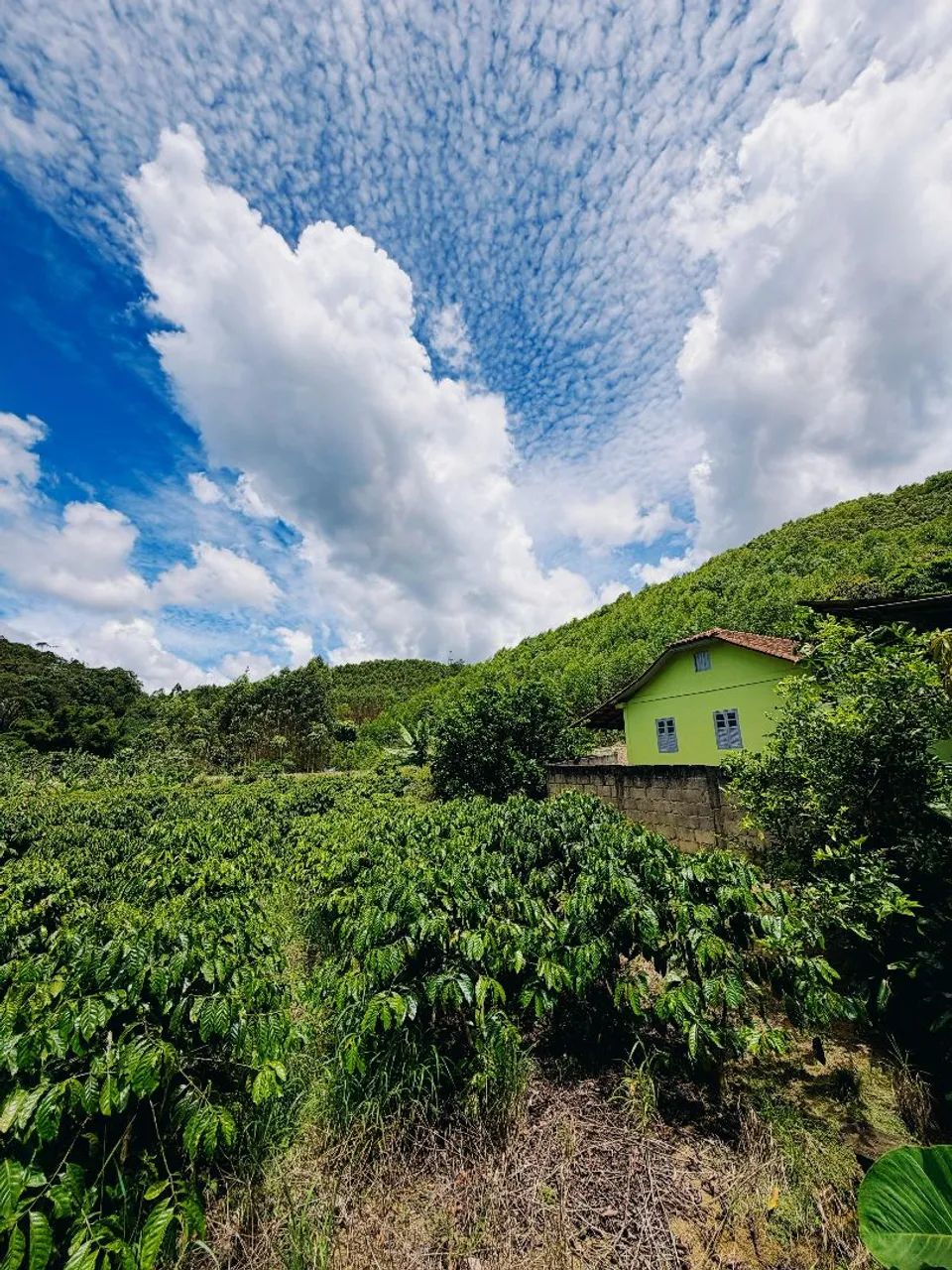 Exclusividade em  Santa Teresa com escritura - Foto 4