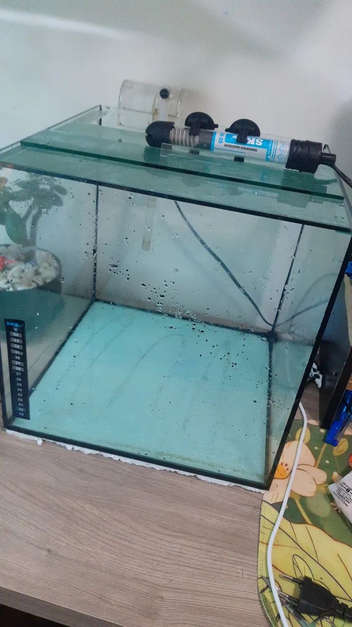 aquário cubo completo