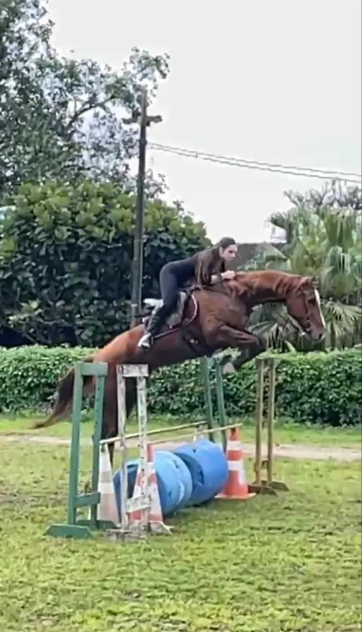 Égua QM matriz, oportunidade única!!