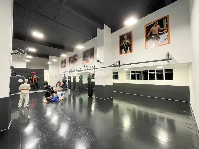 Oportunidade: Venda Academia De Artes Marciais 