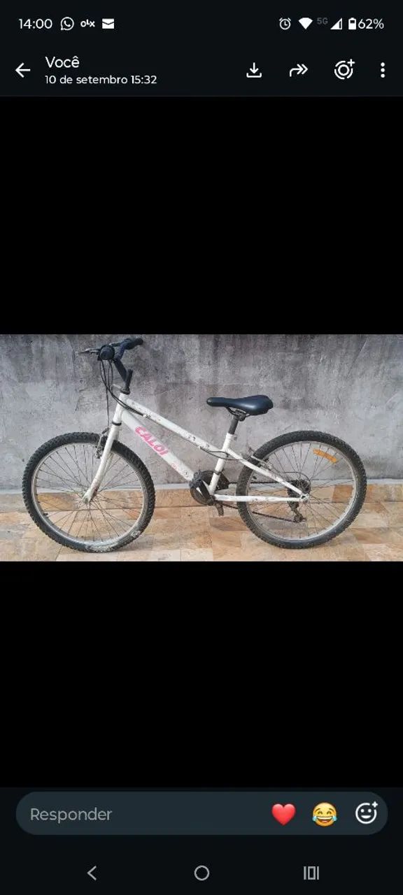 Bicicleta Caloi Ceci 