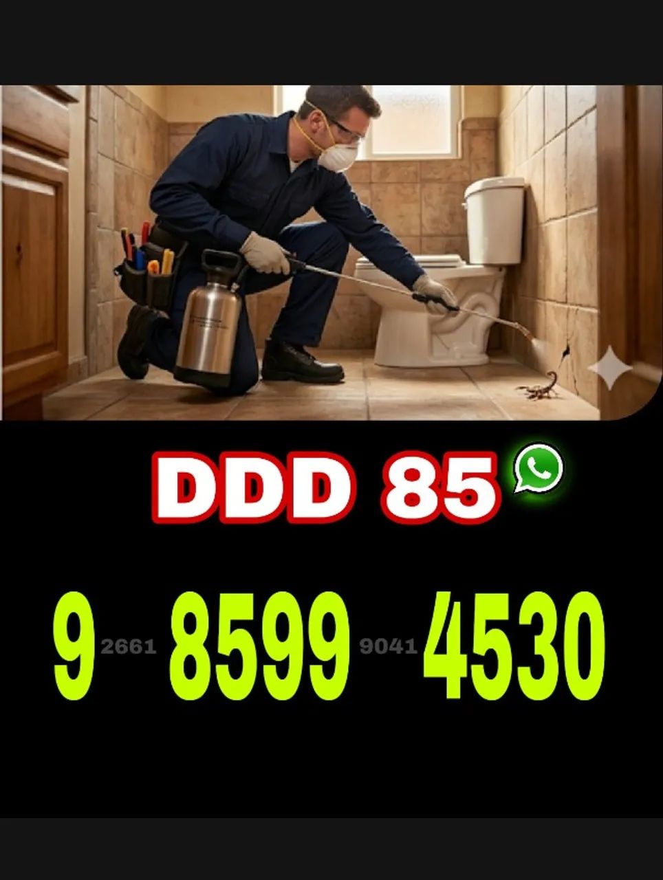 Dedetização profissional e eficaz