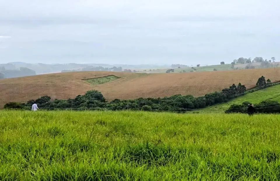 Promoção de imperdível - Foto 2
