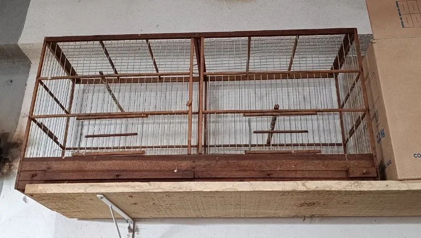 gaiolas de passaros e estaca de canto - Foto 4