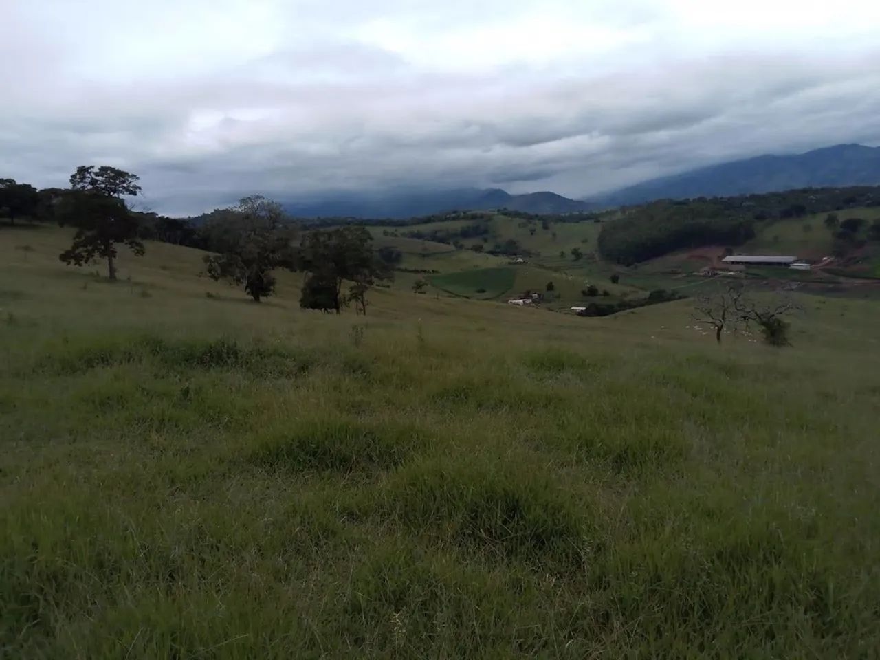 Fazenda com 130,80 hectares e curral completo em Itamonte - MG. - Foto 5