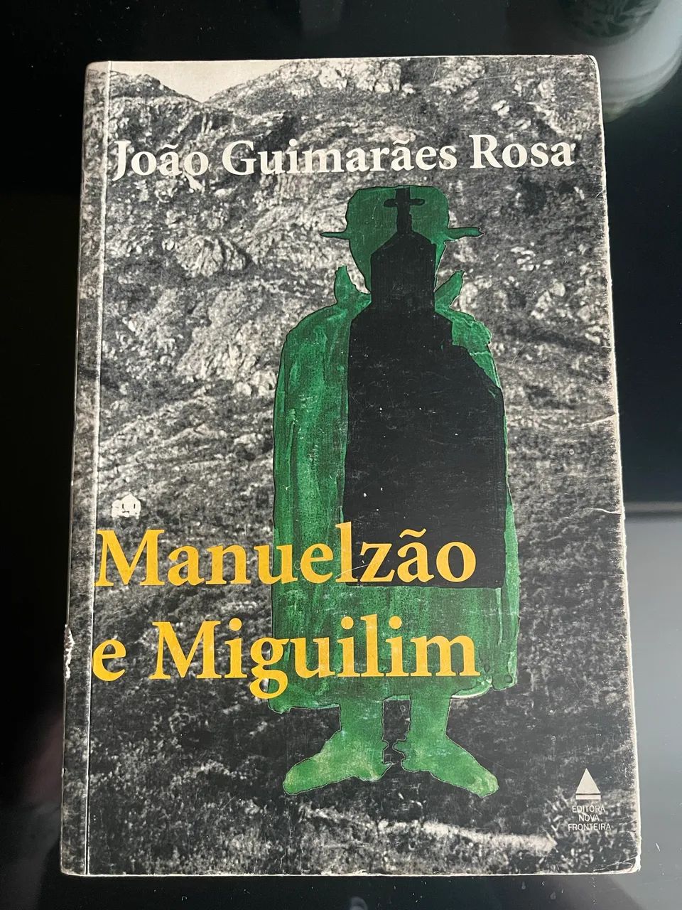 livro manuelzão e miguilim 