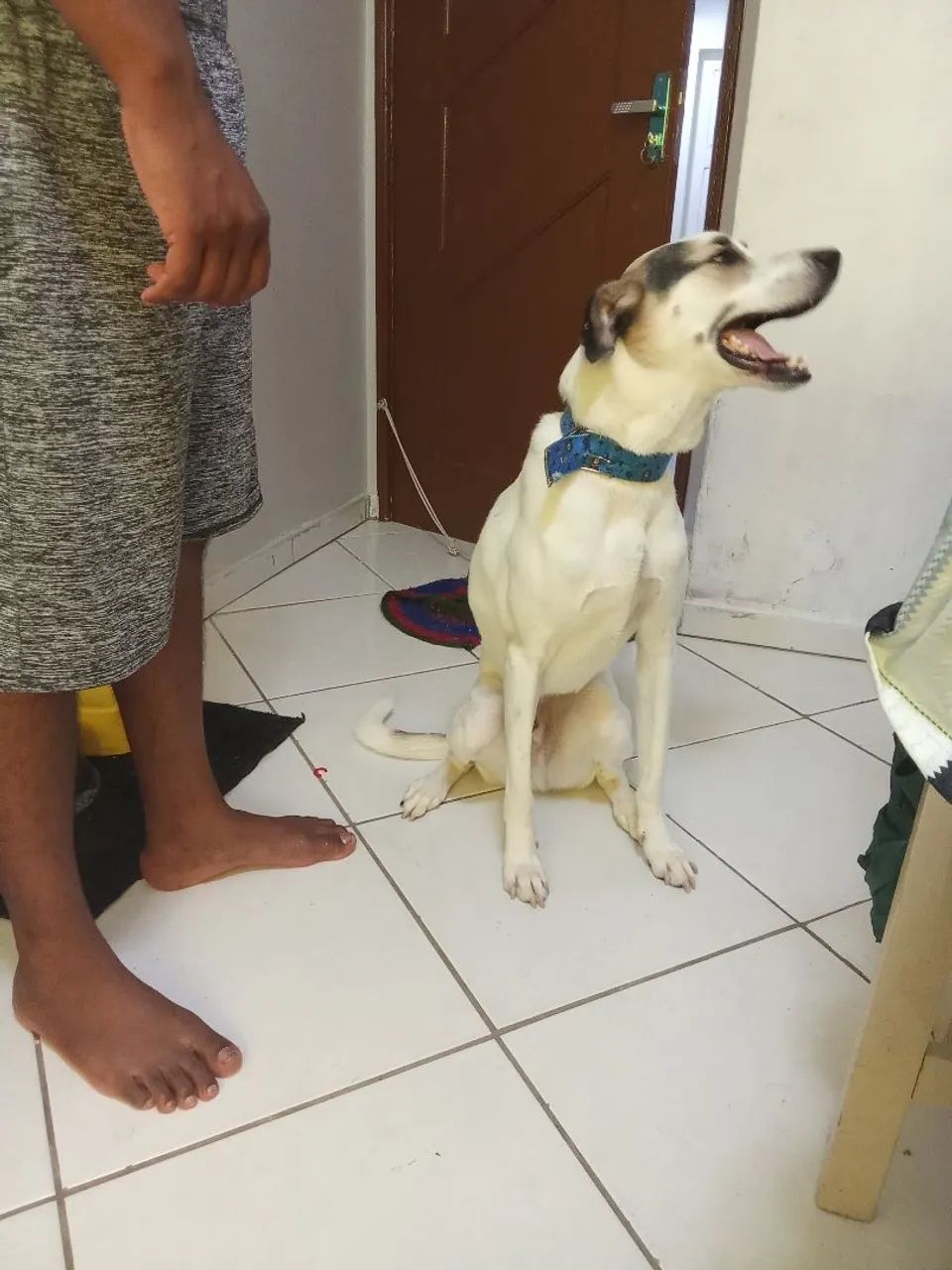 Doação  - Foto 2