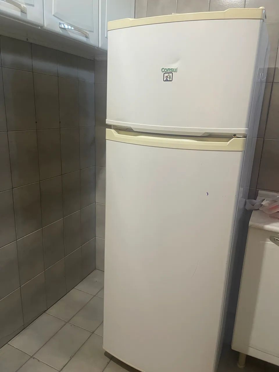 Geladeira Duplex 600