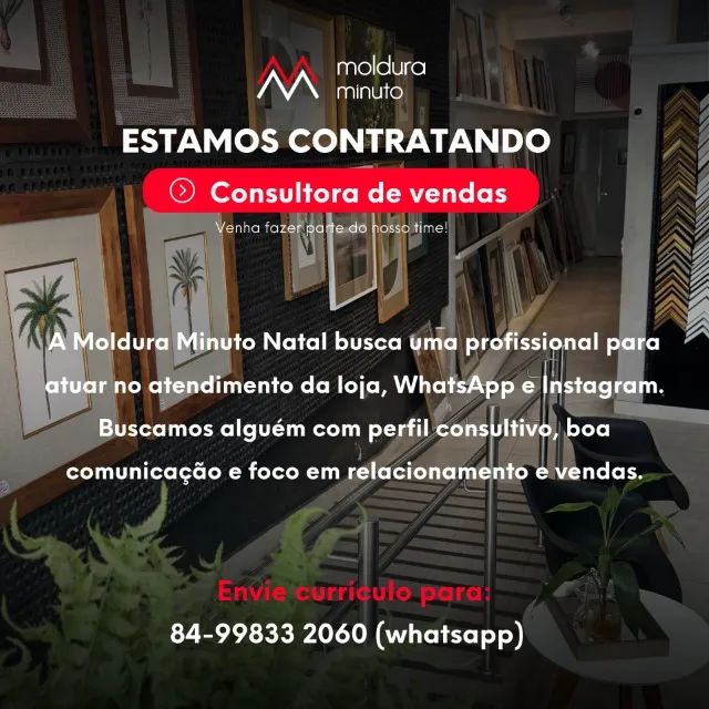CONSULTORA DE VENDAS E EMOLDURAMENTO