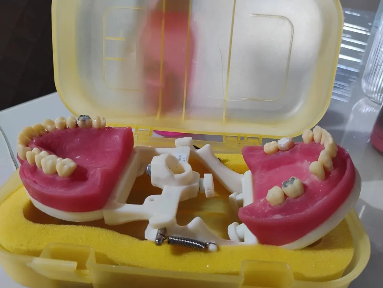 Manequim odontológico  - Foto 2