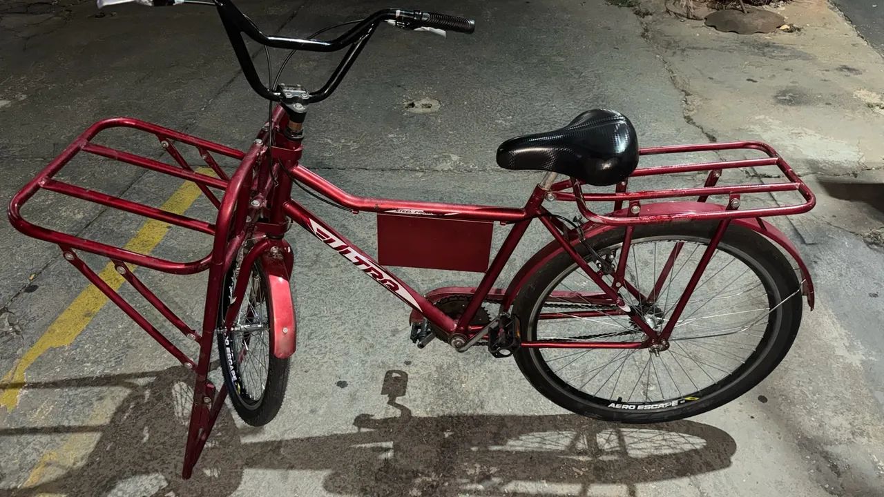 Bicicleta Cargueira - Foto 3