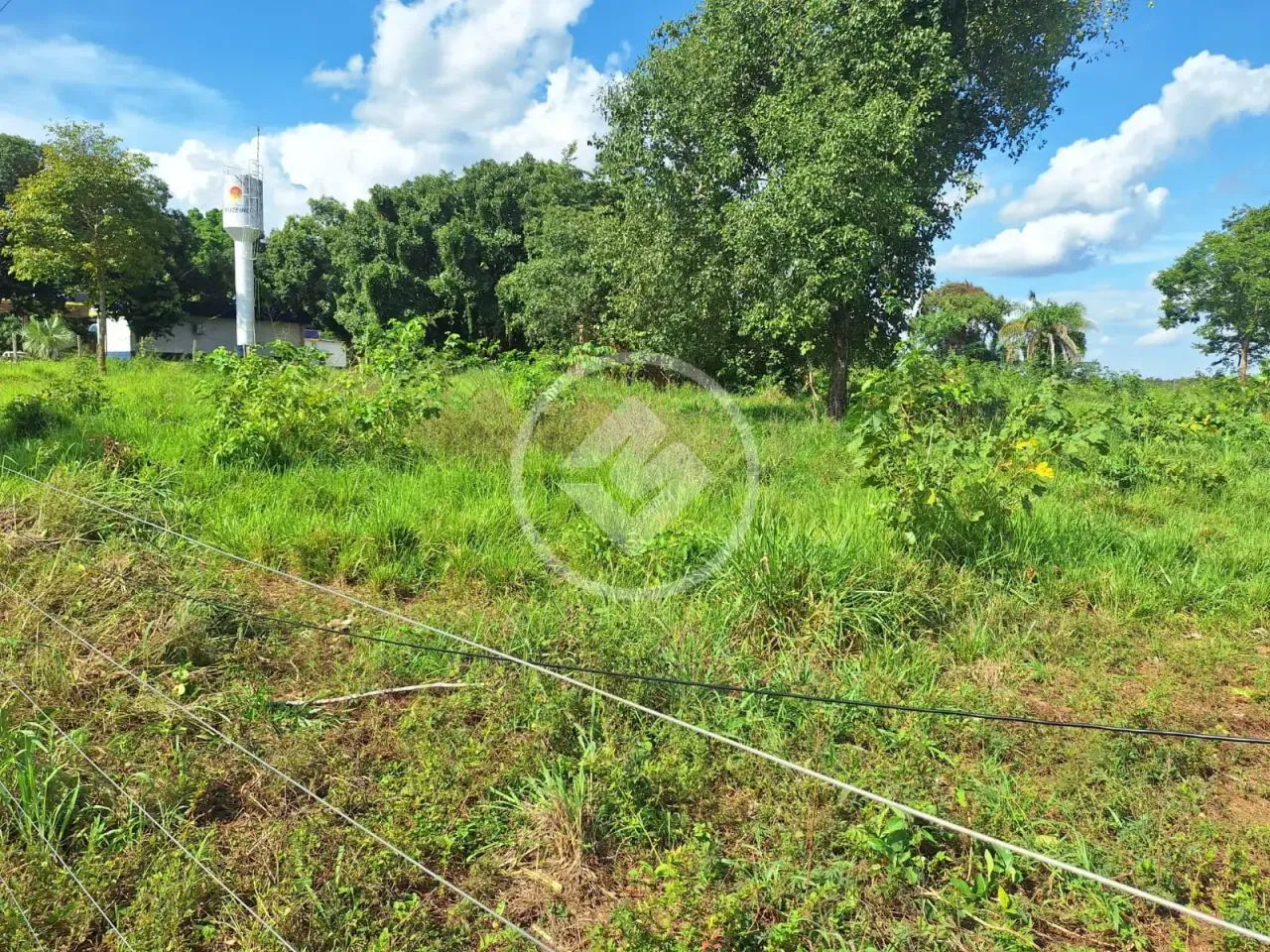 Sítio 20 ha ao lado da cidade- Ideal para Loteamento codigo: 324262 - Foto 2