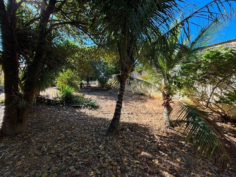 Terreno 1000m² - Tavares - Foto 5