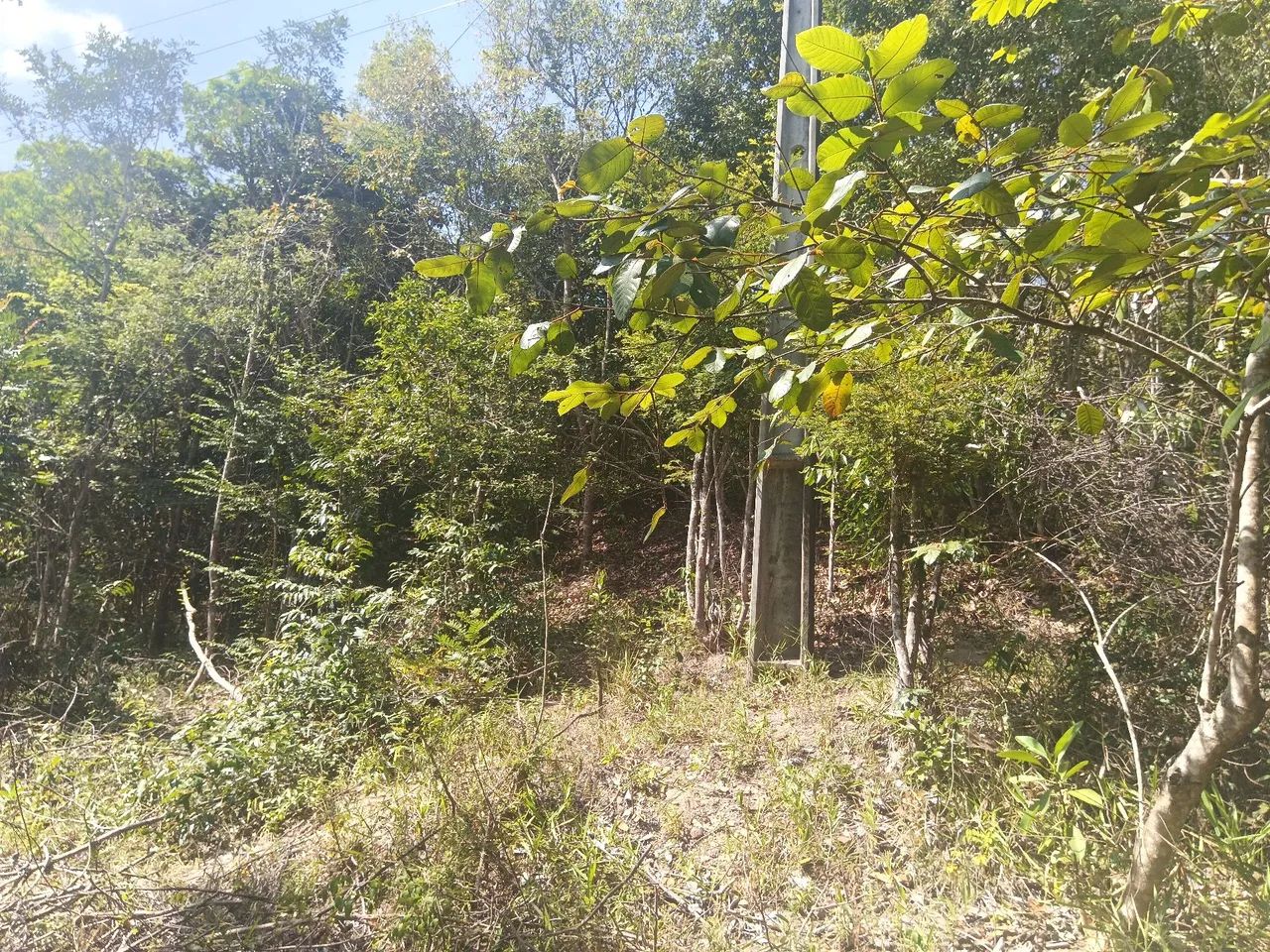 Terreno em Campos de São João 